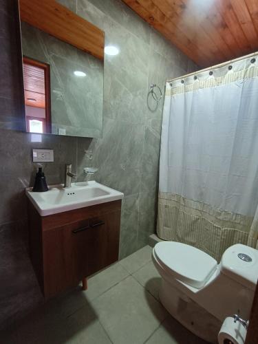 a bathroom with a sink and a toilet and a shower at Cabaña Mailin in Uspallata