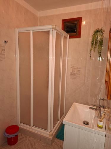 a bathroom with a shower and a sink at Solo Tranquilidad in Mocanal