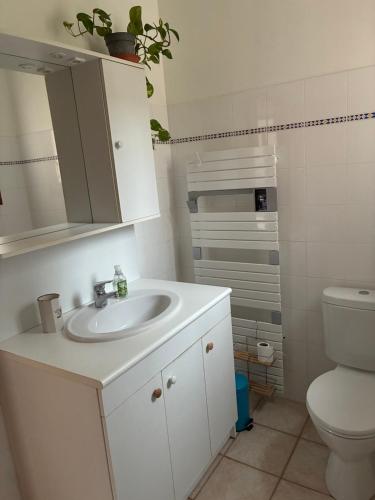 a bathroom with a sink and a toilet at Maisonette paisible à La Roque-Gageac in La Roque-Gageac