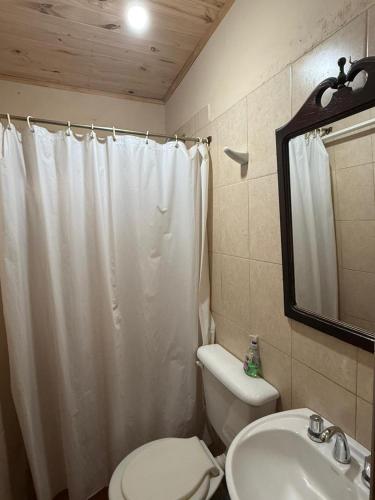 a bathroom with a white shower curtain and a toilet at Posada LO DE ELIAS in Tilcara