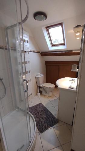 a bathroom with a shower and a toilet and a sink at Gîte du Noyer in Villexanton