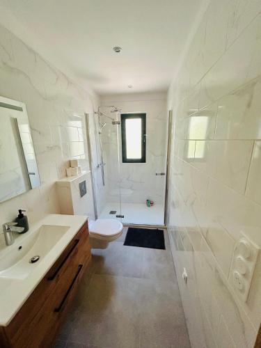a bathroom with a sink and a toilet and a shower at Villa Corail- Piscine privée- Corsu di Core in Conca