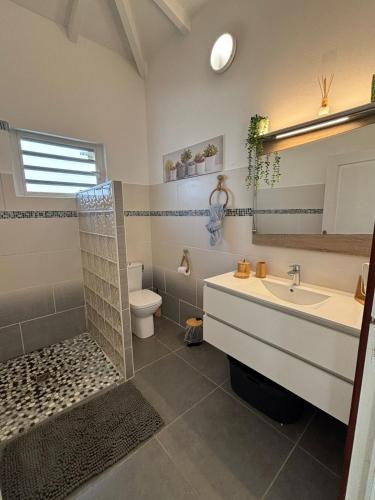 a bathroom with a sink and a toilet and a mirror at Villa Fleur de Lys MAE in Morne-à-lʼEau