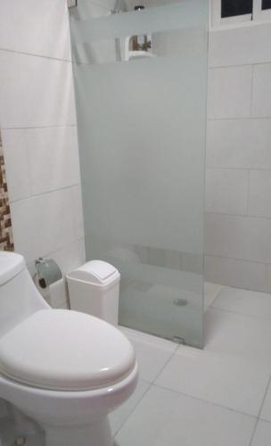 a white bathroom with a toilet and a shower at Areito Apartament A&A in Juan López