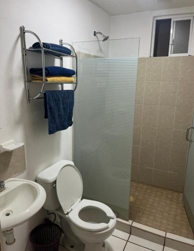 a bathroom with a shower and a toilet and a sink at Departamento Entero en el Sur Facturamod in Santa Gertrudis