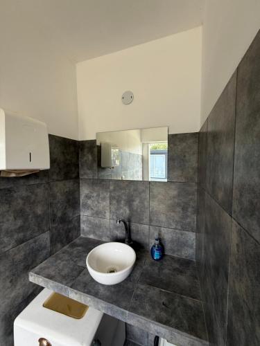 a bathroom with a sink and a toilet at Piedras Moras cabañas in Almafuerte