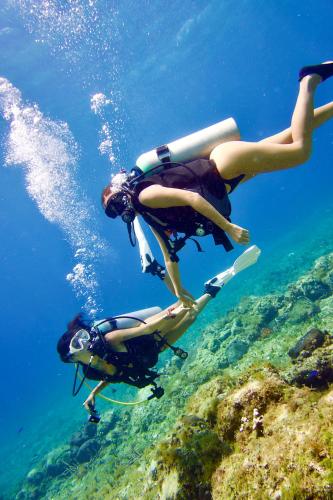 two women are diving in the water at Mi Refugio Dive House in Cozumel