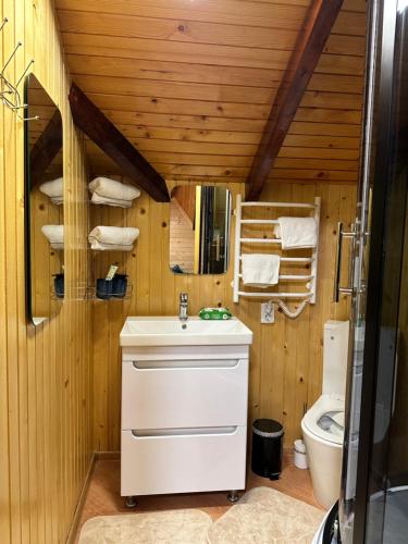 a bathroom with a sink and a toilet at Гойра in Verkhniy Yasenov