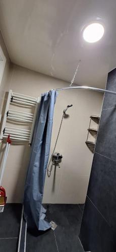 a room with a room with a wall with a shower at Hotel Bobline 304 in Bakuriani