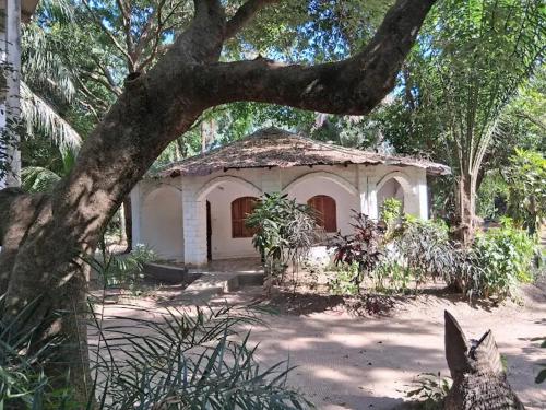 Foto de la galeria de Campement KUNJA a Kafountine