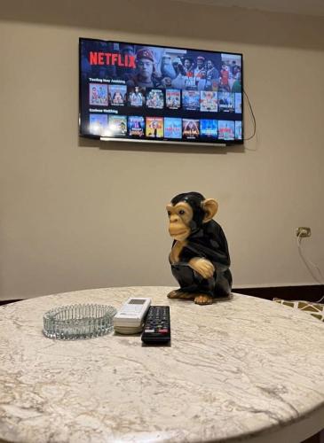 شقه مفروشه شارع جيهان يومي او شهري او سنوي برج حديث