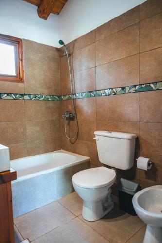 a bathroom with a toilet and a tub and a sink at Cabure in Epuyén