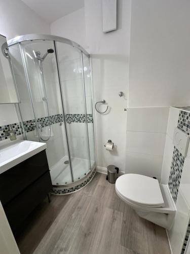 a bathroom with a shower and a toilet and a sink at Fewo Andresen Hahnenklee in Hahnenklee-Bockswiese