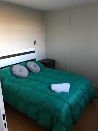 a bedroom with a green bed with two pillows at Koocoland- Xumuc in Tupungato