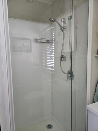 a shower with a glass door in a bathroom at Te Puru Holiday Park in Thames