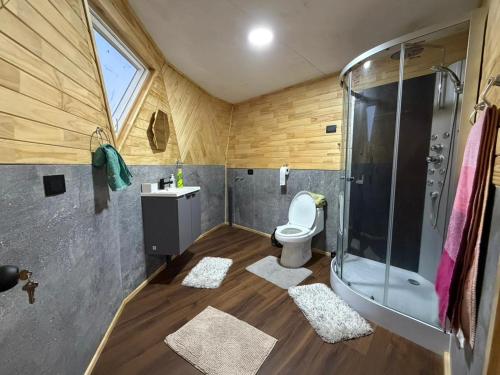 a bathroom with a shower and a toilet and a sink at Cabaña Dalcahue Avenida Mocopulli in Dalcahue
