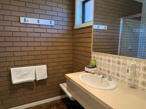 a bathroom with a sink and a mirror at Parkview Motor Inn and Apartments in Wangaratta