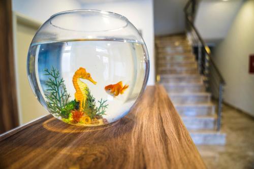 a bowl with two fish in it on a table at Hotel Kapetanovina in Mostar
