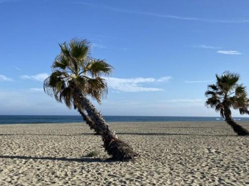 Maisonnette climatisée à 2 min de la plage avec terrasse et parking privatif - FR-1-529-283