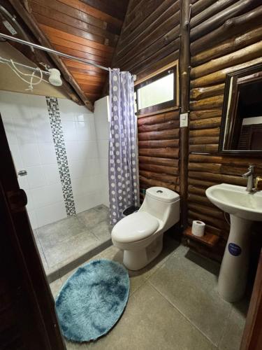 a bathroom with a toilet and a sink at Cabaña Brisa Del Río in Cooper