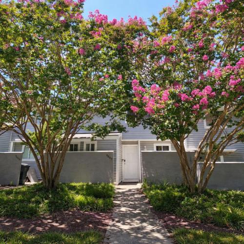 two trees with pink flowers in front of a building at Heart of Raleigh in Raleigh
