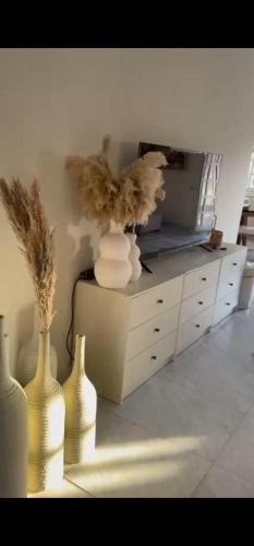 Mayfair Villa with Private Swimming Pool