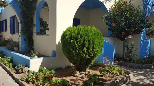 Κήπος έξω από το Apolloneia Apartments