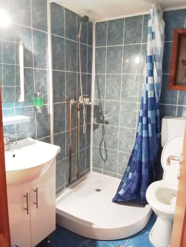 a bathroom with a shower and a toilet and a sink at Casa Arion in Arieşeni