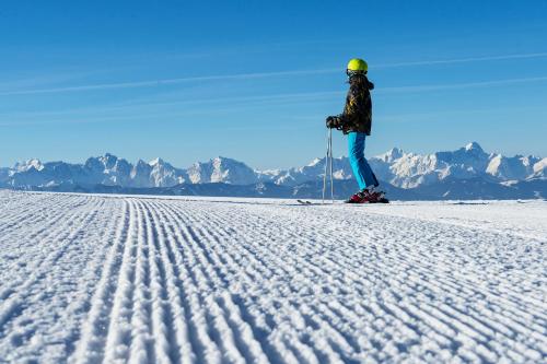 a person standing on skis in the snow at FEWO Wonta am Ossiachersee in Sattendorf