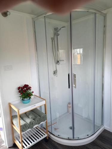 a glass shower in a bathroom with a table at Wharf Street Art in Foxton