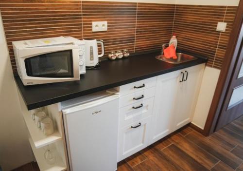 a kitchen with a microwave and a counter top at Penzion Šedivý in Strachotín