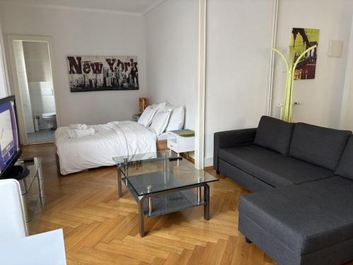 Nice little studio-City centre & train station