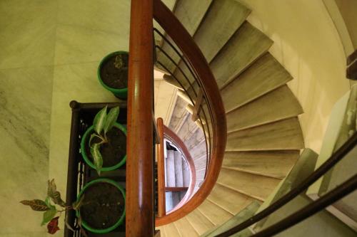 a spiral staircase with a round window and green plants at Hotel Pratap Bhawan in Udaipur