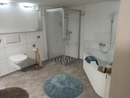 a bathroom with a shower and a toilet and a sink at Ferienhaus Laila in Hochstetten-Dhaun