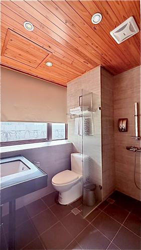 a bathroom with a toilet and a bath tub at 儷景民宿 in Magong