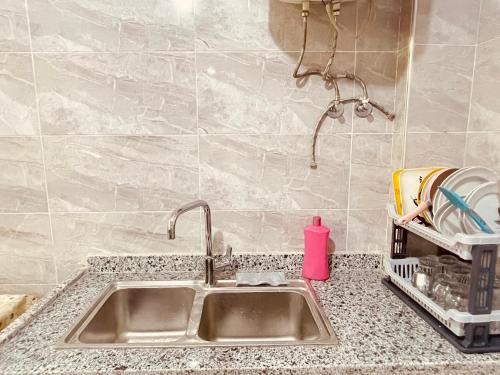 a kitchen sink with a pink soap bottle on it at Blue rose in Abu Simbel