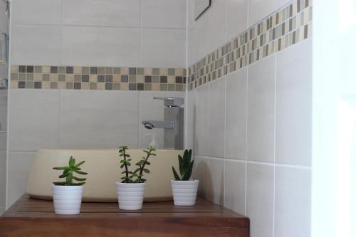 three potted plants sitting on a shelf in a bathroom at Villa Sunshine in Biscarrosse-Plage