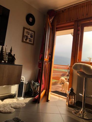 a dog sitting on a porch looking out the door at Residence i Larici in Prato Nevoso