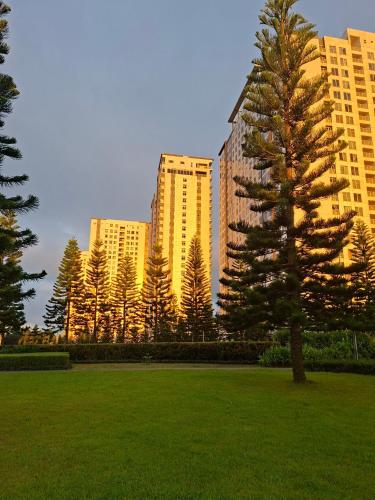 a tree in a park in front of tall buildings at Crystal Suites I Partial Taal View in Sampong