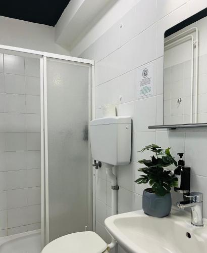 a bathroom with a shower and a toilet and a sink at Hostel POINT Nova Gorica, Self Check-In with code access in Nova Gorica