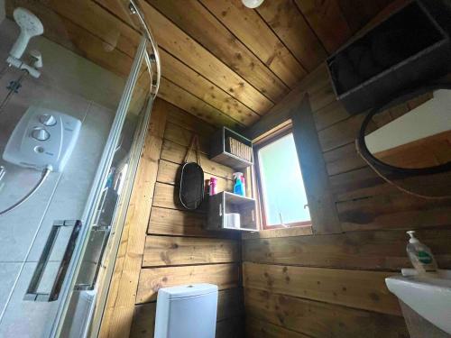 a bathroom with a shower and a toilet and a window at Dublin Seaview Cabin in Rathfarnham
