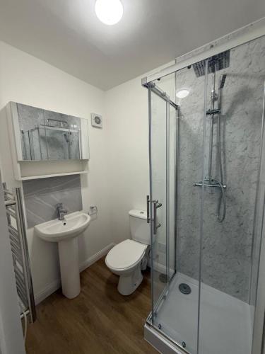 a bathroom with a shower and a toilet and a sink at Exquisite King-sized Bedroom - Free Parking in Dartford