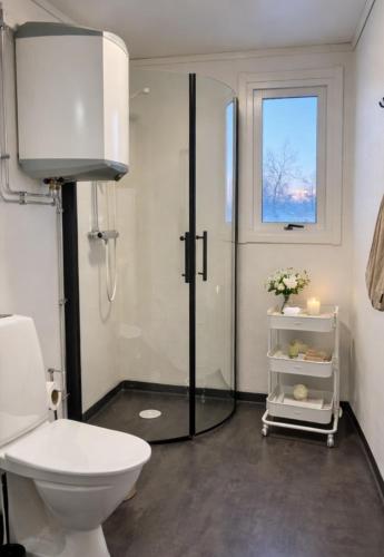 a bathroom with a shower and a toilet and a window at Frost Longstay Lakeside in Kiruna