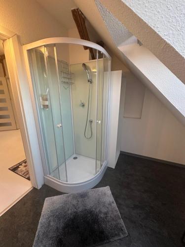 a bathroom with a shower in an attic at Gemütliche Wohnung in Burg in Burg bei Magdeburg