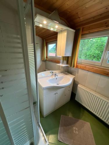 a bathroom with a sink and a mirror and a shower at Ferien am Talhof in Sankt Urban