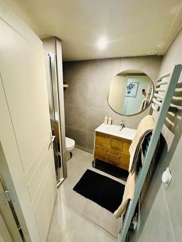 a bathroom with a sink and a mirror at Appartement moderne et chaleureux in Mutrécy