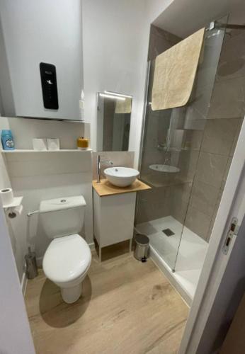 a bathroom with a toilet and a sink and a shower at L'écrin médiéval in Fougères