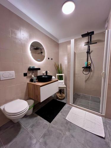 a bathroom with a toilet and a sink and a shower at Joes cozy Apartment in Payerbach