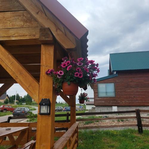 a pot of flowers hanging from a building at Durmitor view in Žabljak