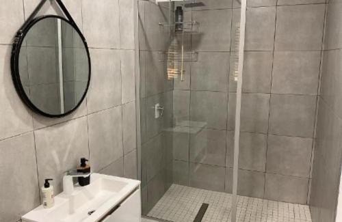 a bathroom with a shower with a sink and a mirror at Ericka's Luxurious Guesthouse in Vaal Marina